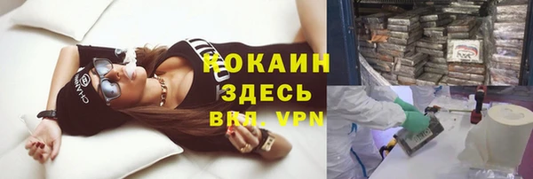 apvp Алзамай
