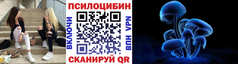 Галлюциногенные грибы Psilocybe  Обнинск 